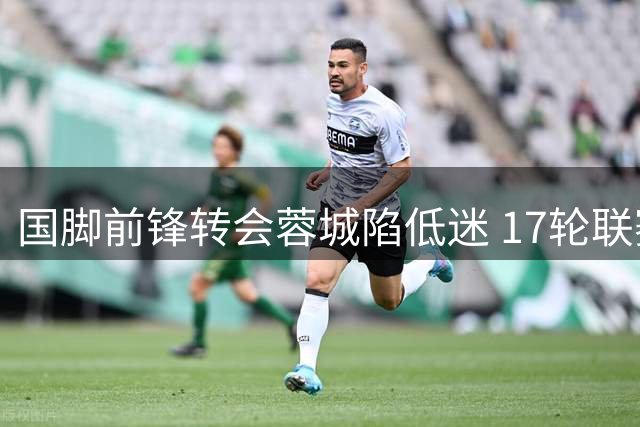 国脚前锋转会蓉城陷低迷 17轮联赛颗粒无收引争议