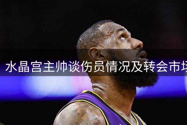 水晶宫主帅谈伤员情况及转会市场动态